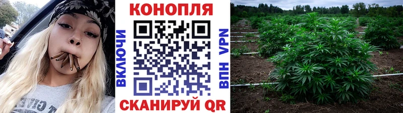 Купить наркотик Беломорск COCAIN Альфа ПВП МАРИХУАНА