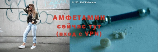 дживик Надым