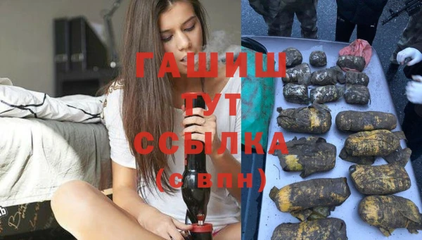 дживик Надым