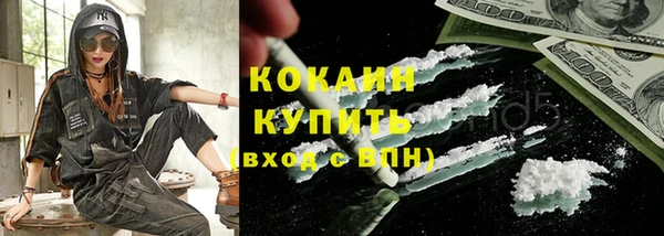 дживик Надым