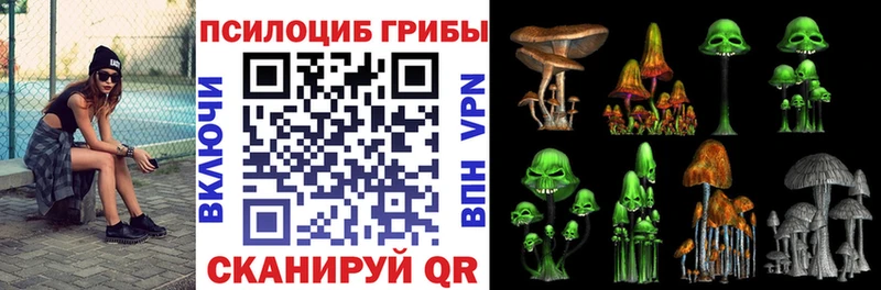 купить Беломорск Псилоцибиновые грибы прущие грибы